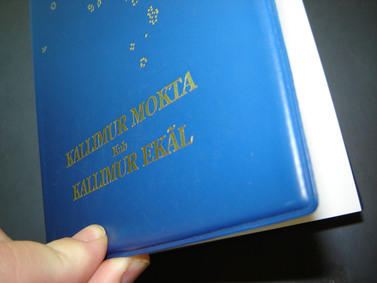 Bible in Marshallese / Blue PVC cover / Jeje Ko